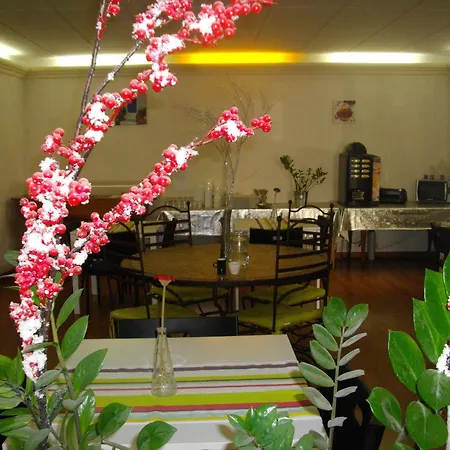 酒店 中央酒店 卡尔卡松